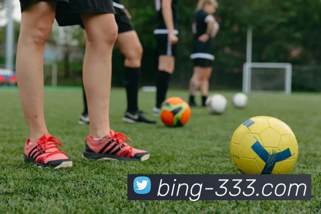 333体育平台生态图